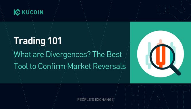 Trading 101: What are Divergences? The Best Tool to Confirm Market Reversals