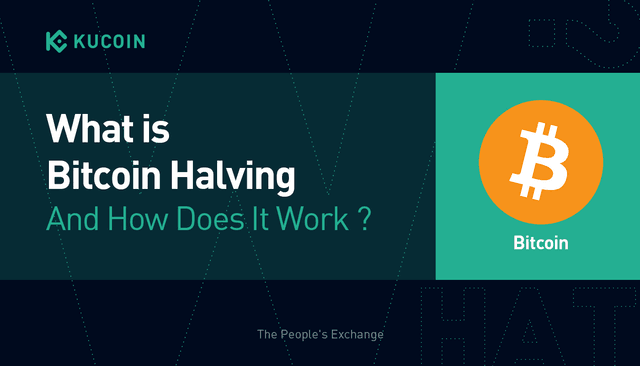 Everything You Need to Know about Bitcoin Halving