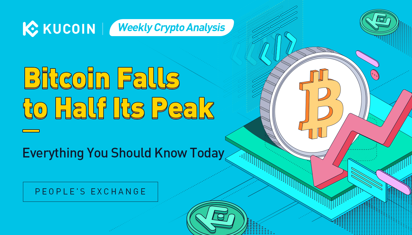 Weekly Crypto Analysis: Bitcoin Falls to Half Its Peak, Everything You Should Know Today