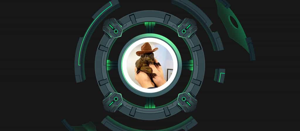 Custom Image