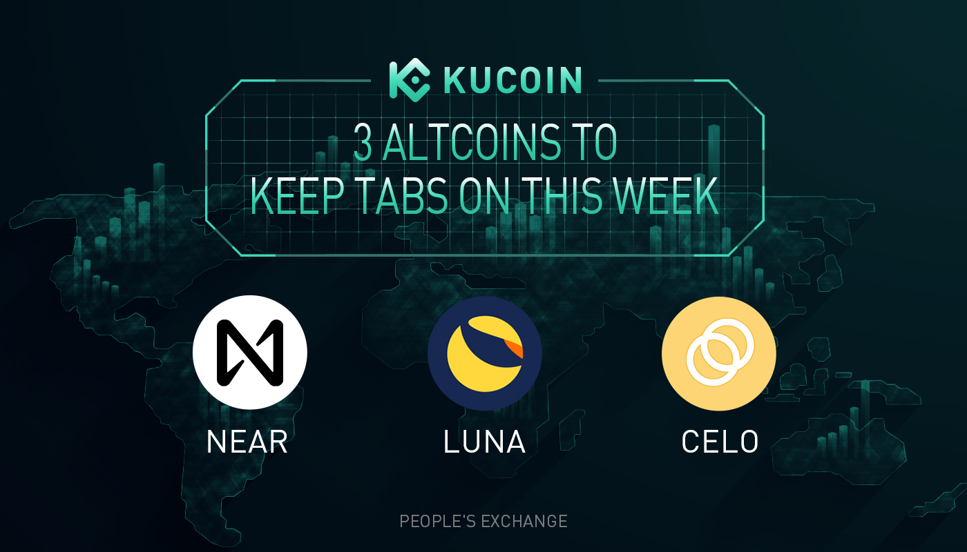 3 Altcoins to Explore | Which Tokens Within the Coinbase Ventures Portfolio Led the Price Rally Last Week?