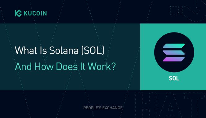 What Is Solana (SOL) And How Does It Work?