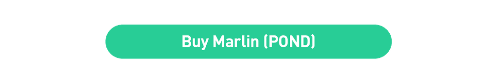 Custom Image