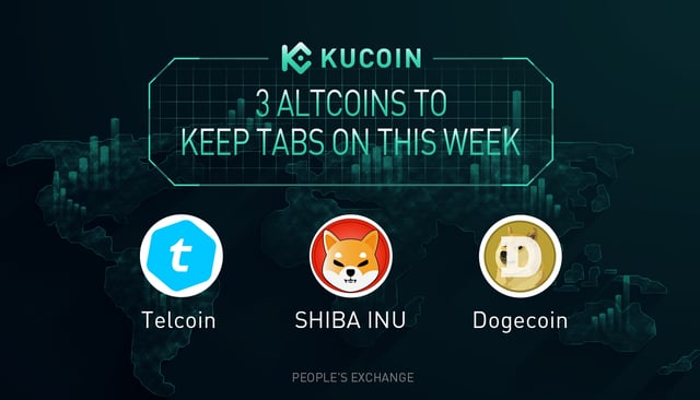 3 Altcoins To Keep Tabs On — TEL, DOGE, SHIB | KuCoin Weekly Review Issue #20