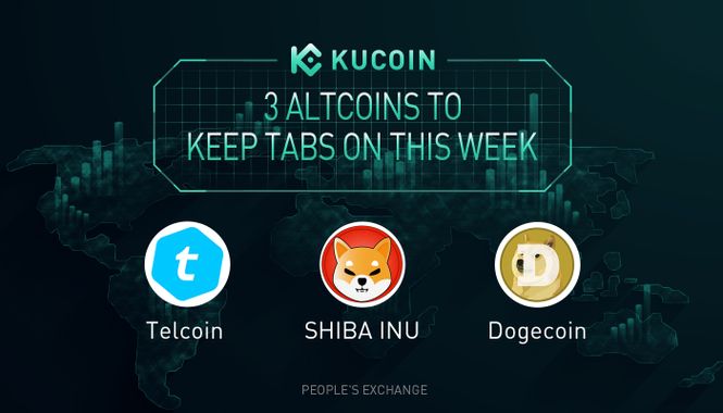 3 Altcoins To Keep Tabs On — TEL, DOGE, SHIB | KuCoin Weekly Review Issue #20