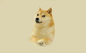 Buy Doge: A Complete Guide to Dogecoin Investment