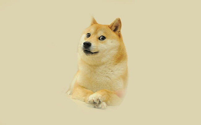 Buy Doge: A Complete Guide to Dogecoin Investment