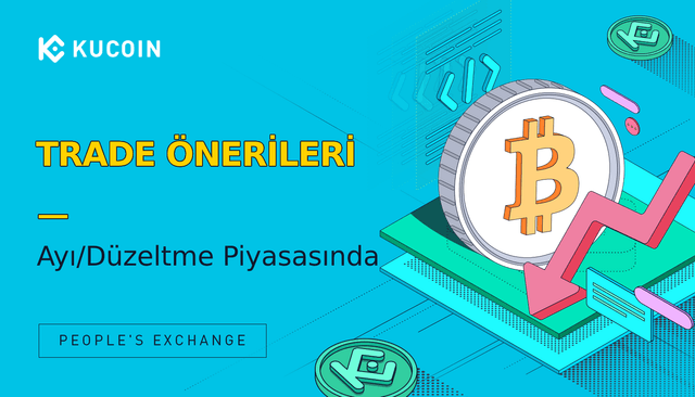 Trading 101: Ayı/Düzeltme Piyasasında Para Kazanmak için İpuçlar