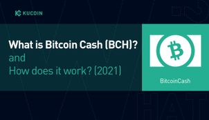 What is Bitcoin Cash (BCH)? How Does it Work?