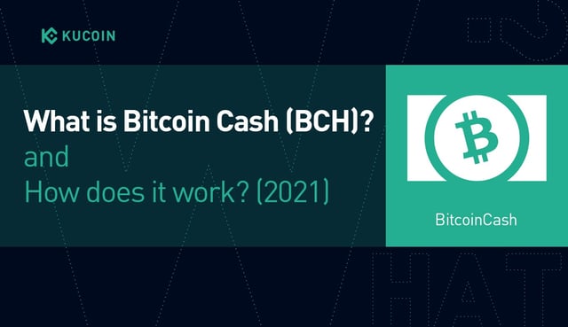 What is Bitcoin Cash (BCH)? How Does it Work?