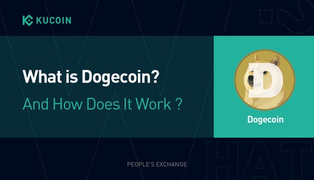 Dogecoin 101:What is Dogecoin and How does it work?