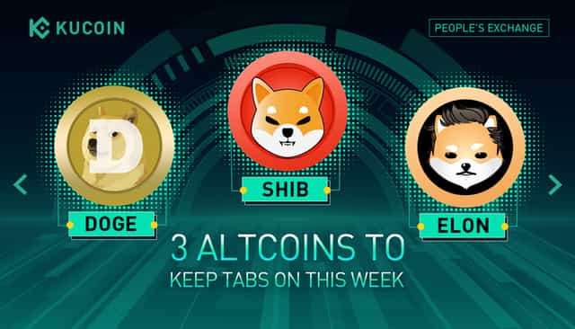 Three Altcoins to Explore | The Meme Army is Back with An Upbeat Performance Last Week