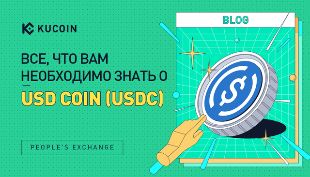 Все, Что Вам Необходимо Знать о USD Coin (USDC)