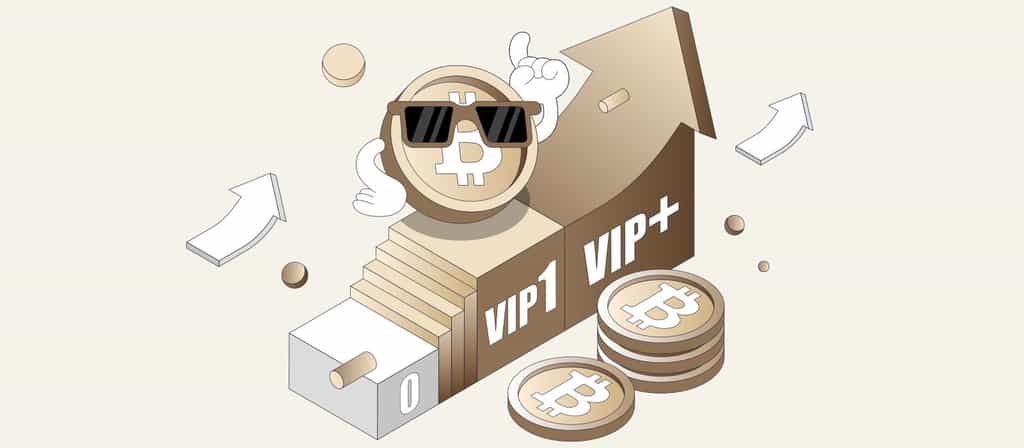 Promotion Program: The VIP Journey Begins