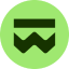 coin icon