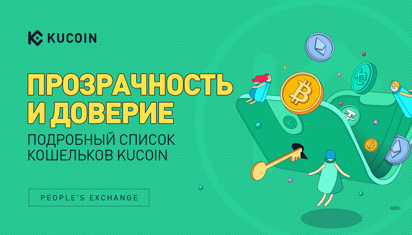 Прозрачность и Доверие: Подробный Список Кошельков KuCoin
