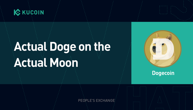 Dogecoin 101: Actual Doge on the Actual Moon - Here's What's Up with Twitter's Favorite Cryptocurrency