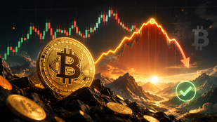 La oferta de bitcoin a largo plazo comienza a disminuir tras máximos récord: las señales en cadena apuntan a un posible piso para BTC