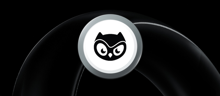 KuCoin Moonbirds (BIRB): The Ultimate Trading Guide to the Next NFT-Fi Powerhouse