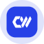 coin icon
