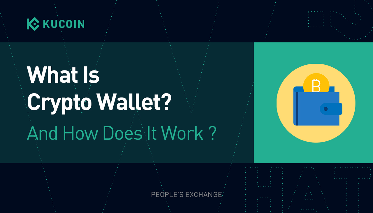What is a Crypto Wallet and How Does it Work?
