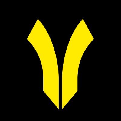 This is the logo of the coin.