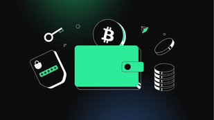 Apa Itu NAT? Panduan Pemula untuk Bitcoin Native Tokens