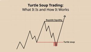 Turtle Trading Strategy Explained: Is It Built for High-Frequency or Low-Frequency Trading?