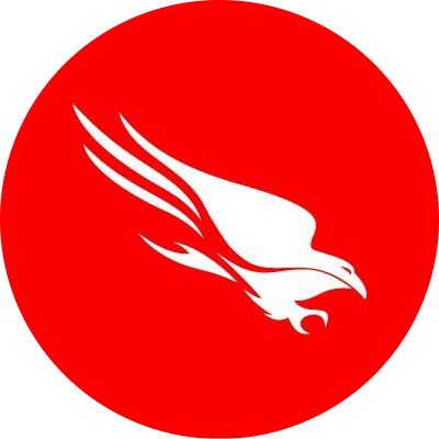coin icon