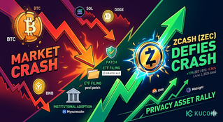 Zcash 漲幅超過 10%,而比特幣、以太坊和 XRP 暴跌:為何 2026 年隱私交易變得越來越重要
