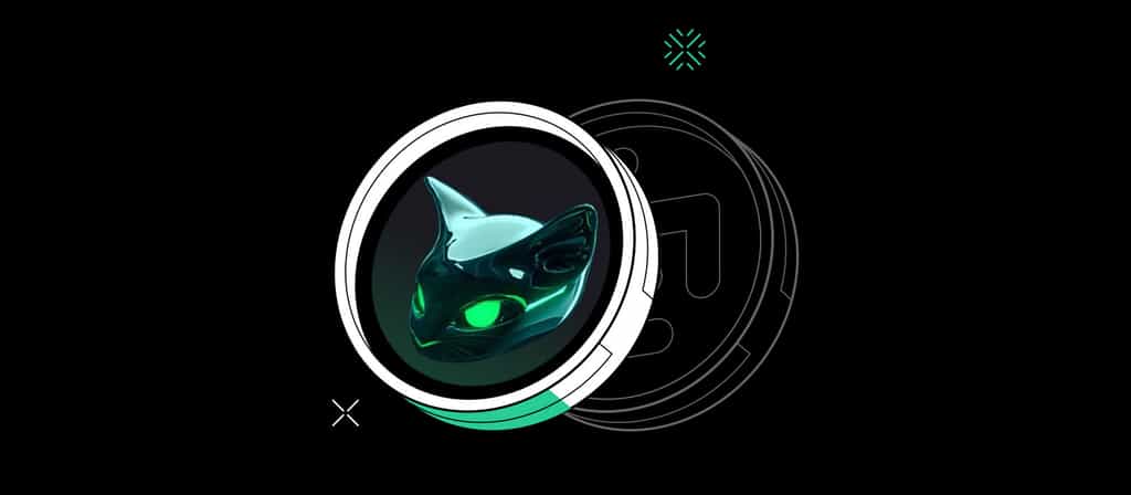 Custom Image