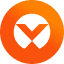 coin icon