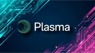 Plasma: Kamu Blok Zinciri Projesi Tanıtımı, Gelişim Yol Haritası ve Ekosistem Genel Bakışı