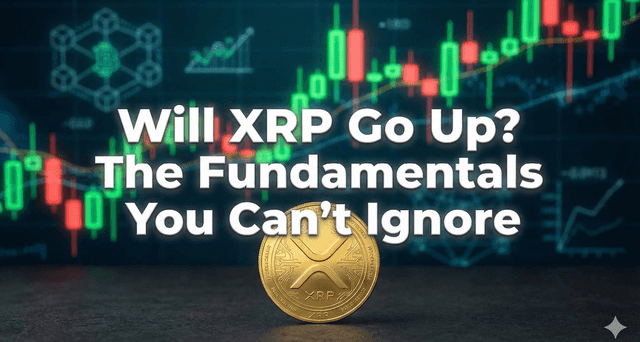 Will XRP Go Up? The Fundamentals You Can’t Ignore