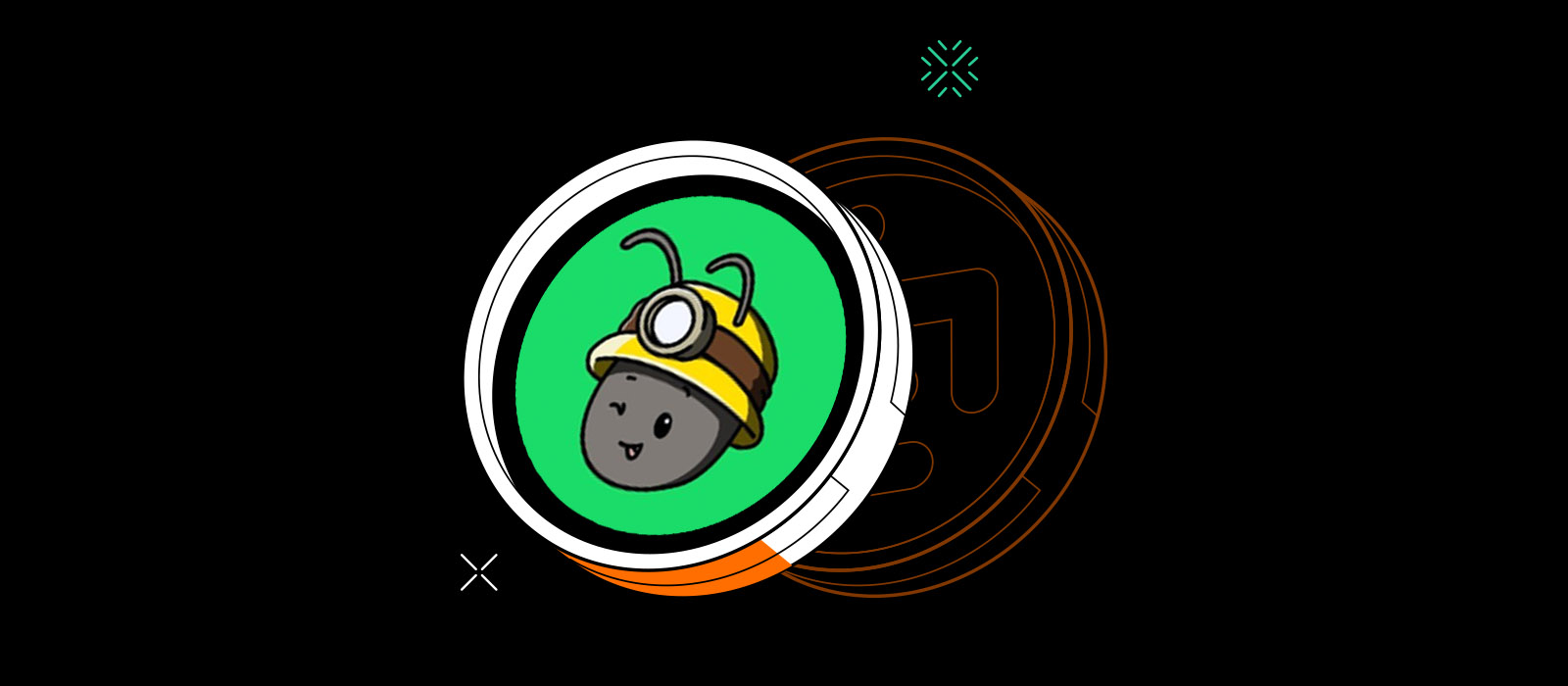 Custom Image