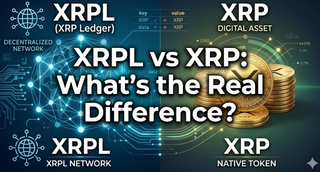 XRPL vs XRP: What’s the Real Difference?
