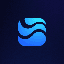 coin icon