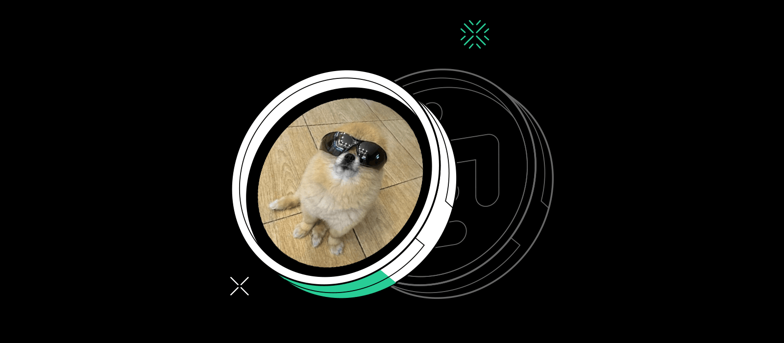 Custom Image