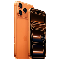 prize icon