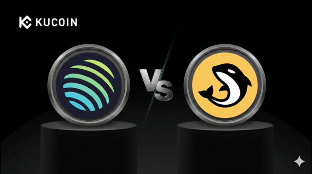 jupiter-vs-orca