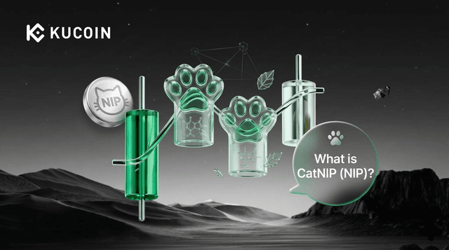 catnip-in-crypto