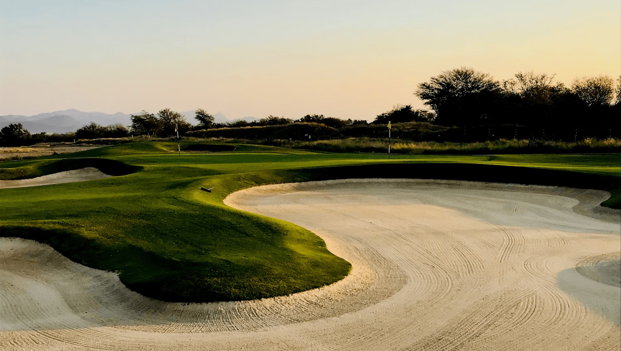 Golf Grass