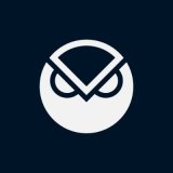 coin icon