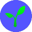 coin icon