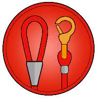 coin icon