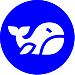 coin icon