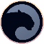 coin icon