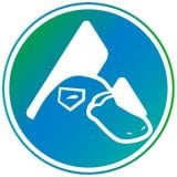 coin icon