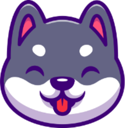 coin icon