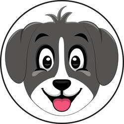 coin icon
